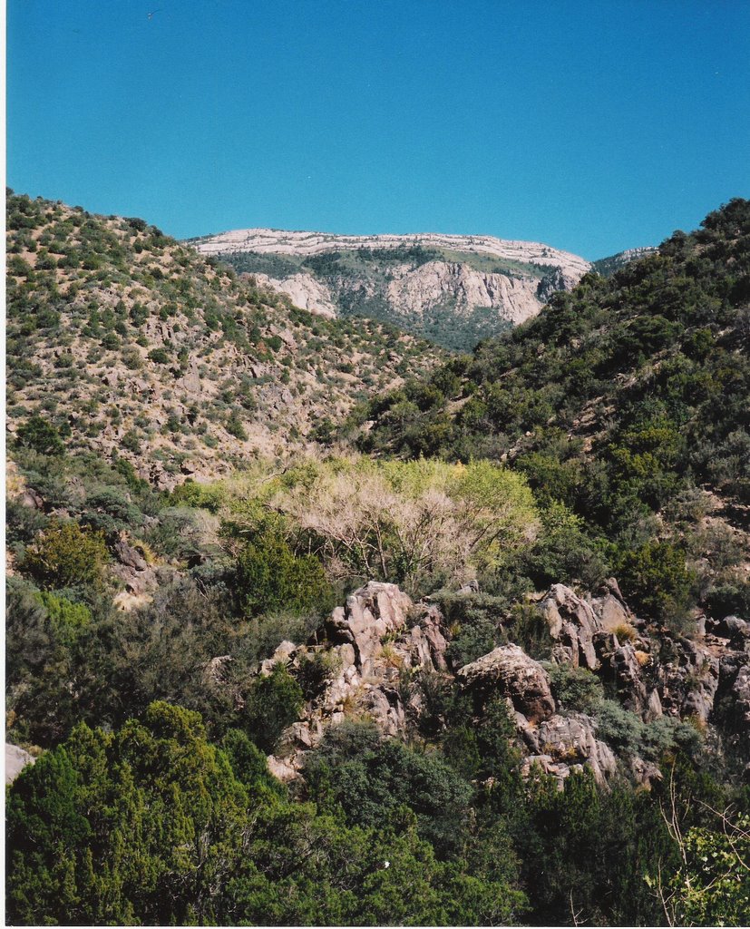 Cañon del Agua, Sandia Mountains, Карризозо