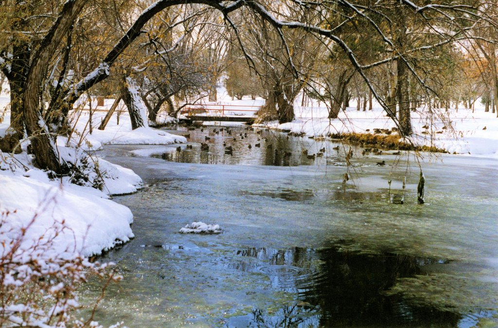 Winter 1997, Сокорро