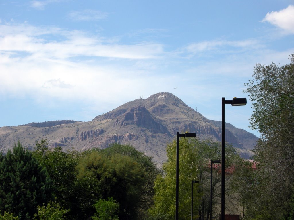 View of M Mountain from in front of Wier Hall, Сокорро