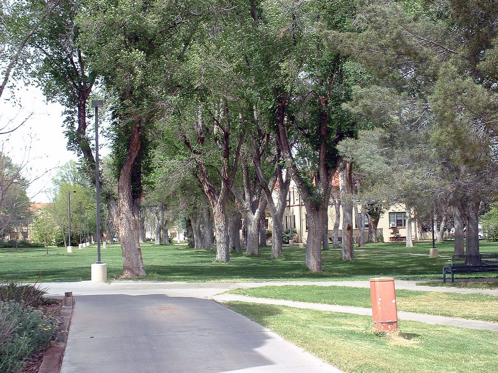 New Mexico Tech Campus, Сокорро