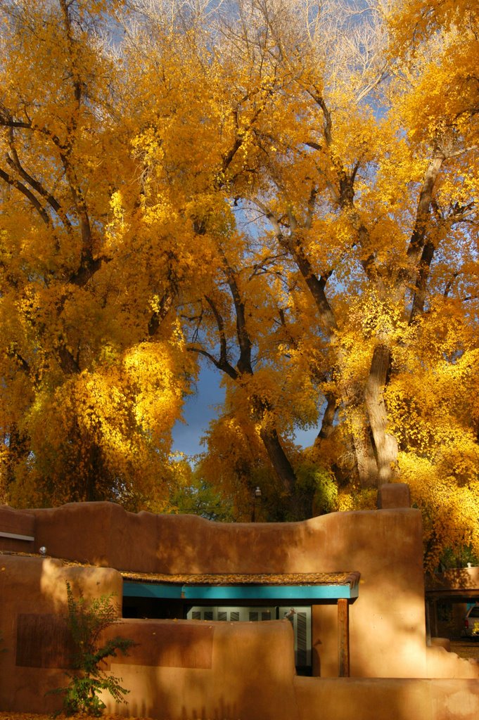 Autumn in Taos, Таос