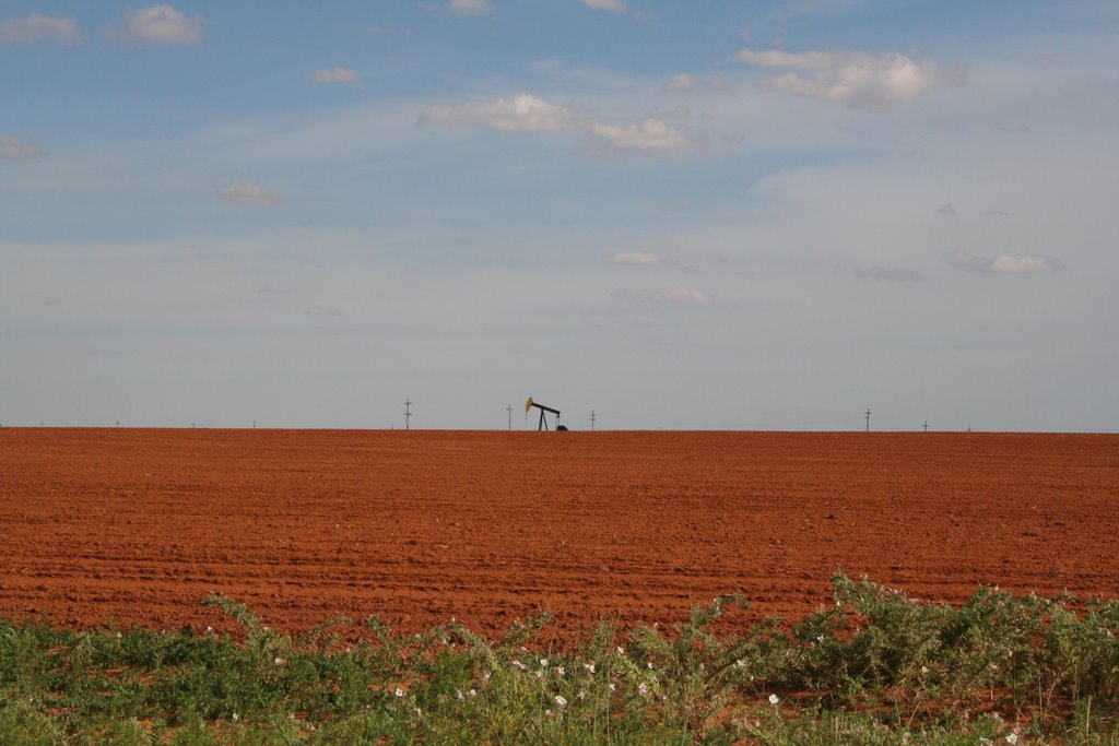 Seminole, Oil in the red Field, Татум