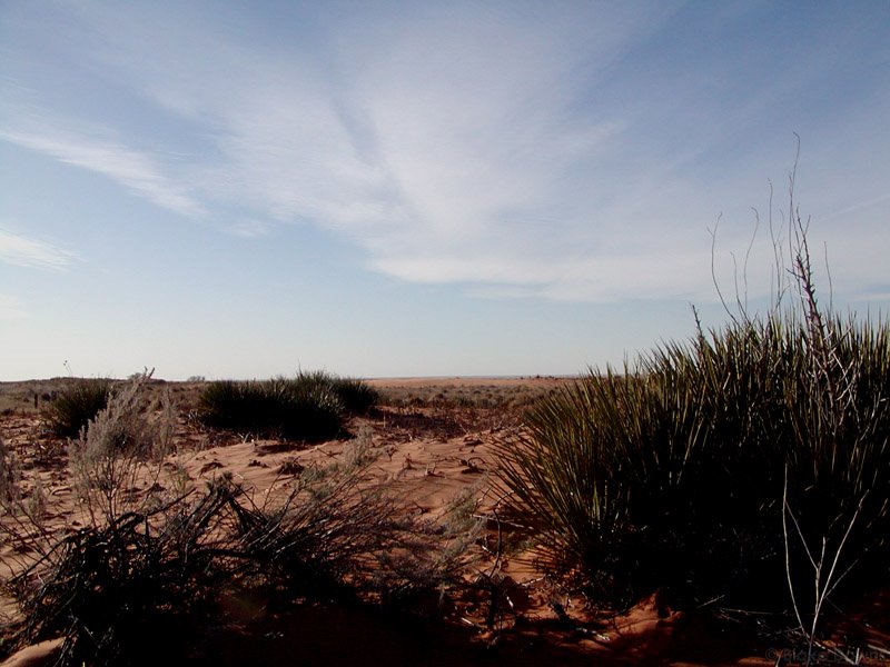 Quartz sandhills prominant in Roosevelt County NM, Татум