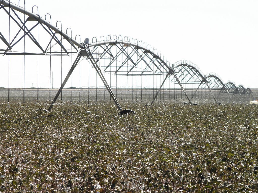 Cotton fields and irrigation equipment, Татум
