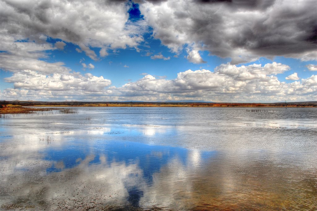 Bosque Reflections, Тийерас