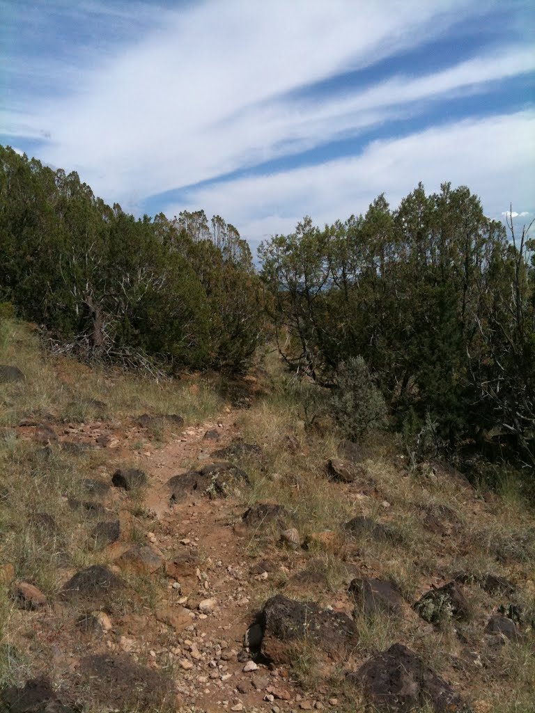 White Rock Canyon Rim Trail, Уайт-Рок