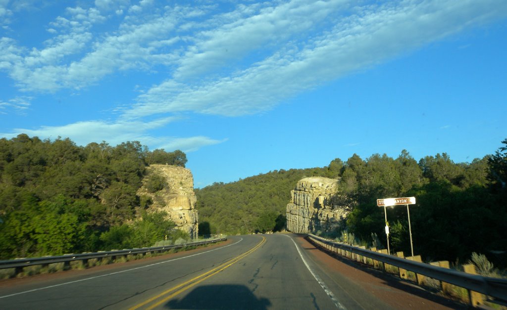 USA - New Mexico - úton, Харли