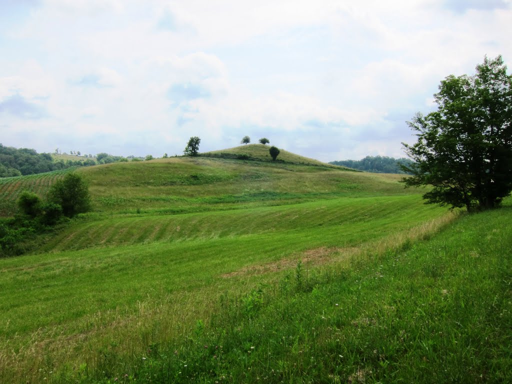 Indian Mound?, Амесвилл