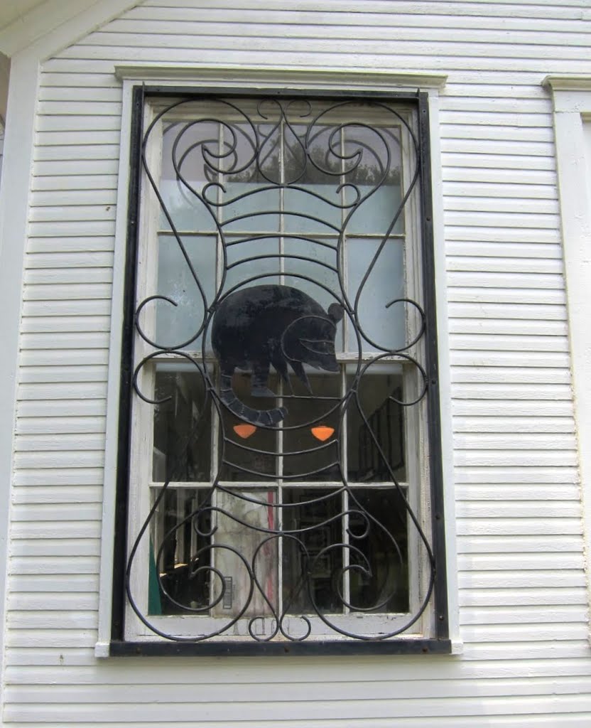 School Window with Raccoon Iron Work Grill, Амесвилл