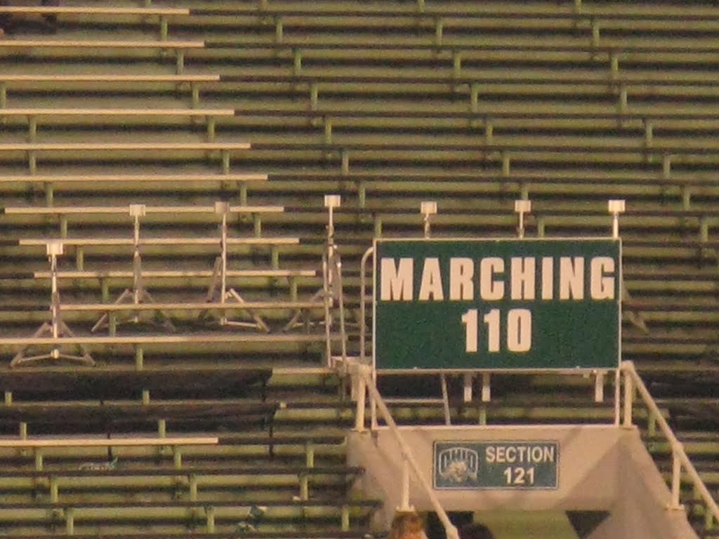 The 110s Section in the Peden Stadium, Атенс