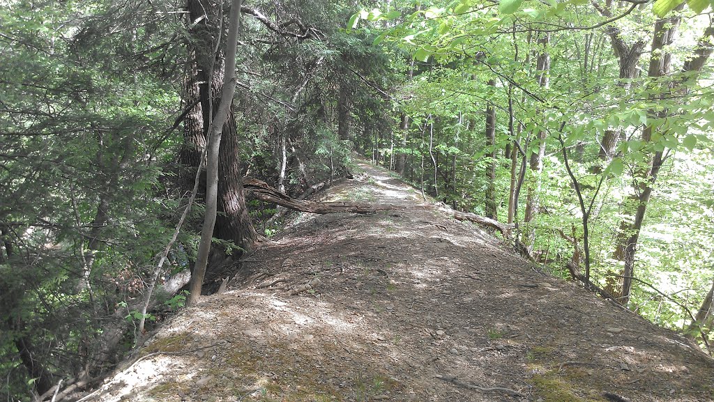 Trail atop a Ridge, Бедфорд