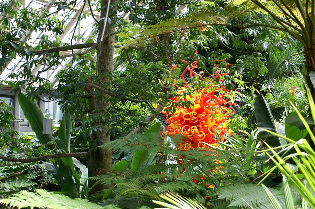 Dale Chihuly at the Franklin Conservatory, Бексли