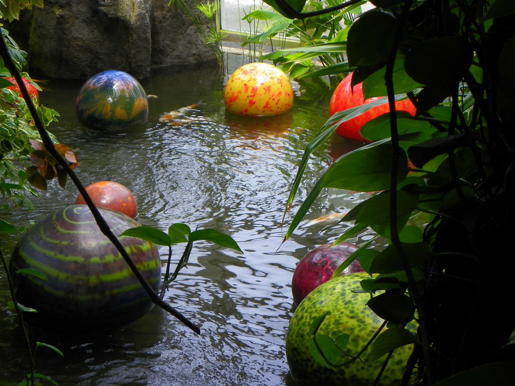 Chihuly glass floats - Franklin Conservatory, Бексли
