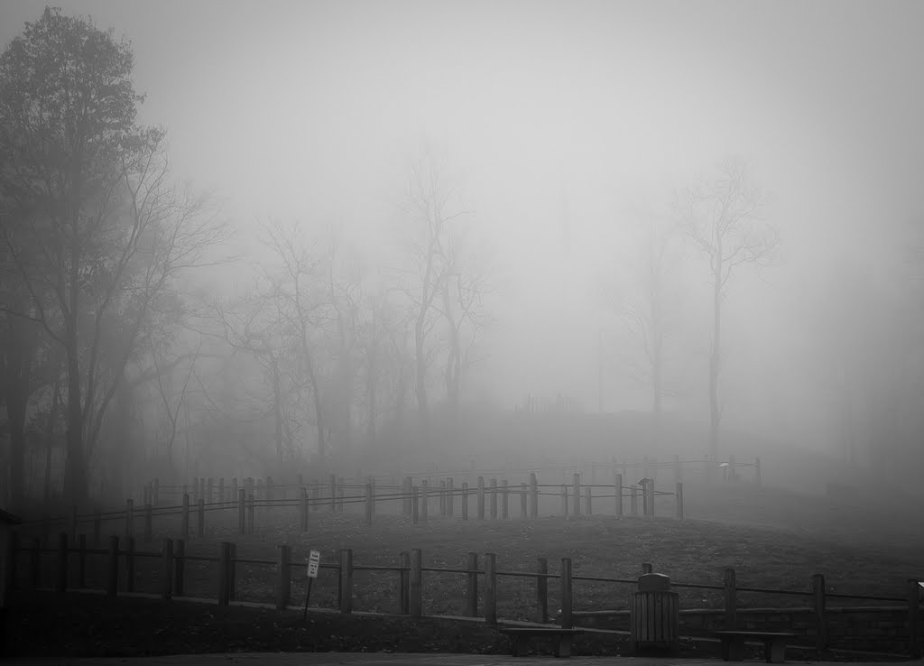Boreman Hill Fog, Белпр
