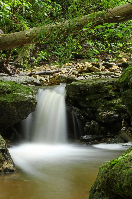 Hoffman Branch in Clifty Falls State Park Madison, IN, Виллугби-Хиллс