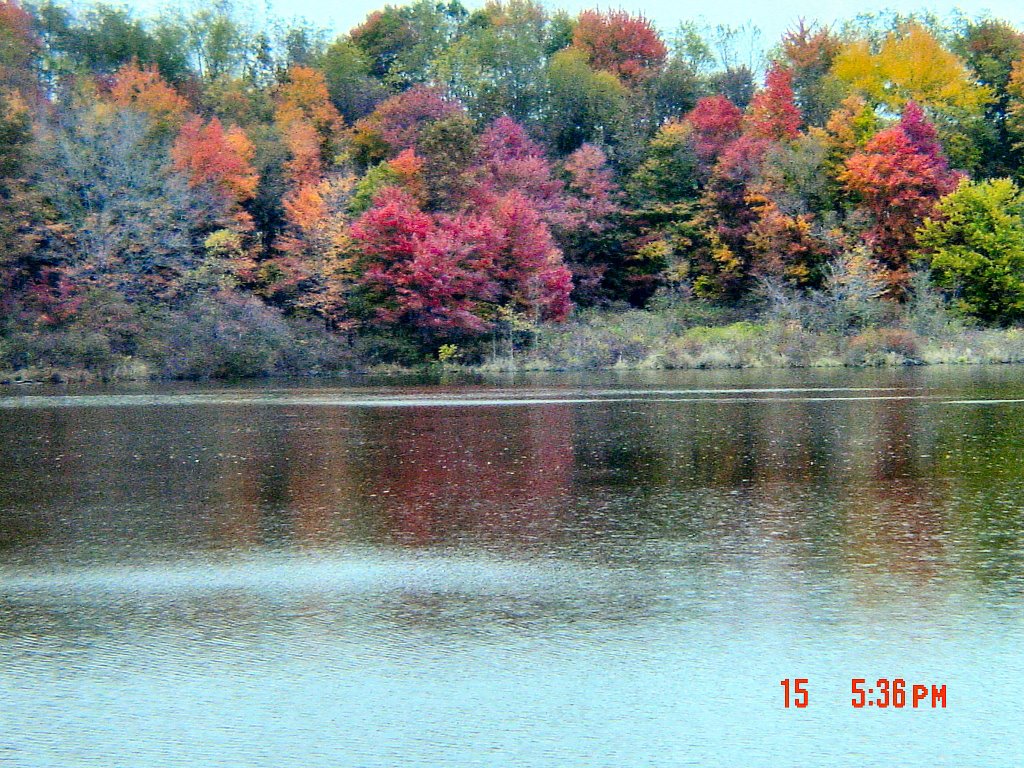 Fall Colors, Nimisila Reservoir, Гринхиллс