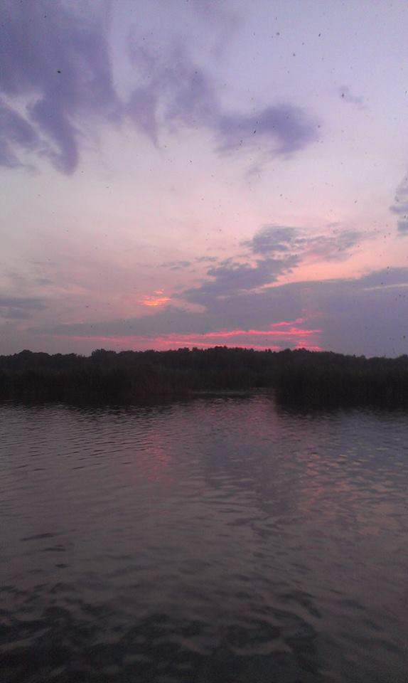 August Sunset, Гринхиллс