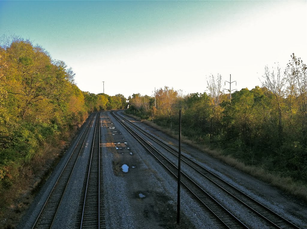 Rail Lines, Гров-Сити