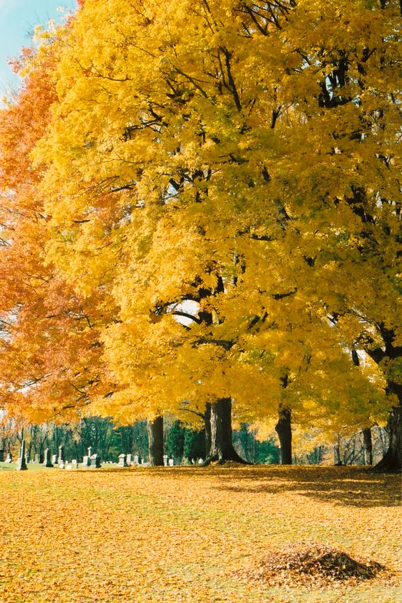 Maple Grove Cemetery - Chesterville Ohio, Дели-Хиллс