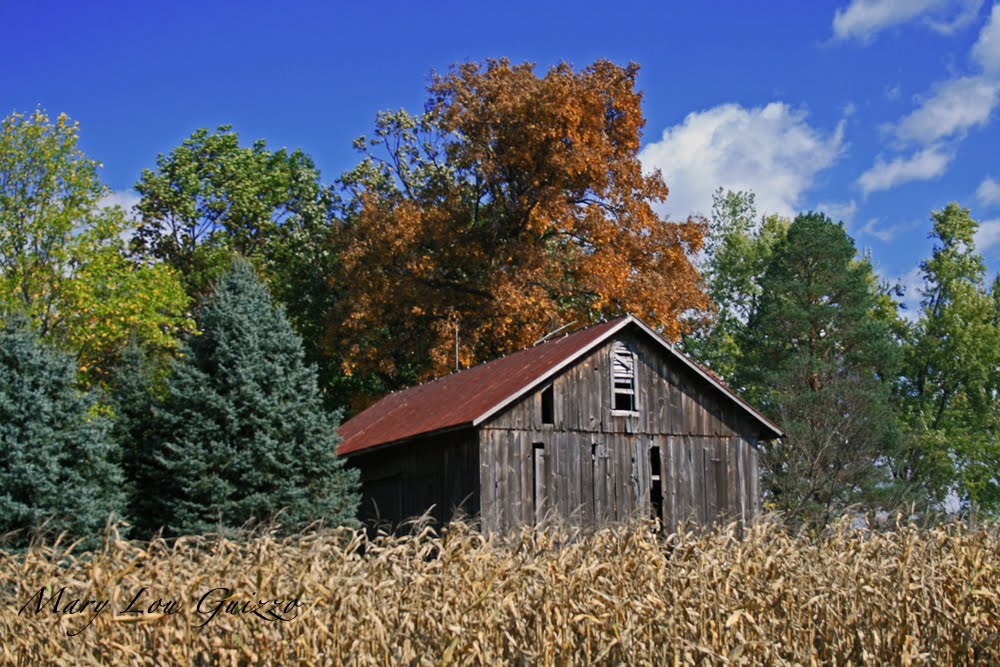 Barn near Medway, Ohio, Доннелсвилл
