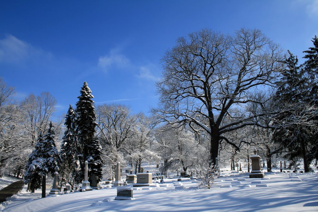Woodland in Winter, Дэйтон
