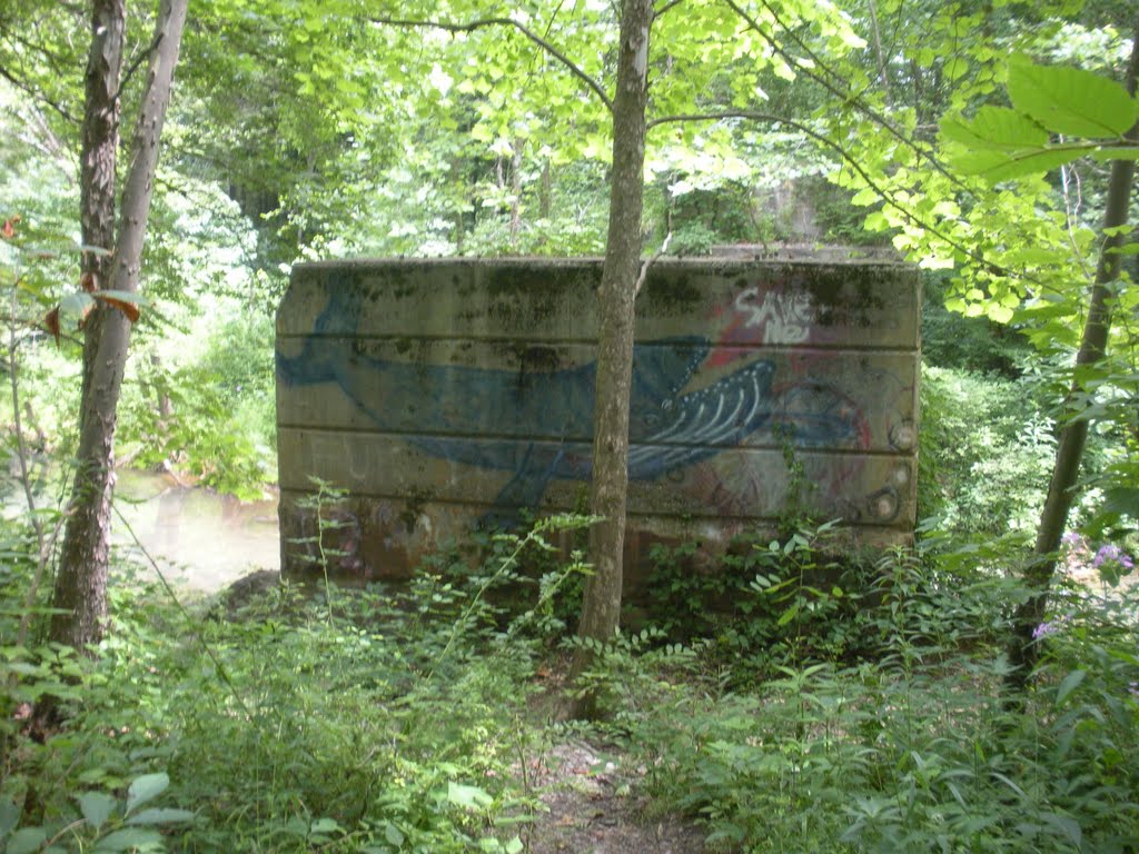 First Tressel east of the Moonville Tunnel (Whale Tressel) 2011, Залески