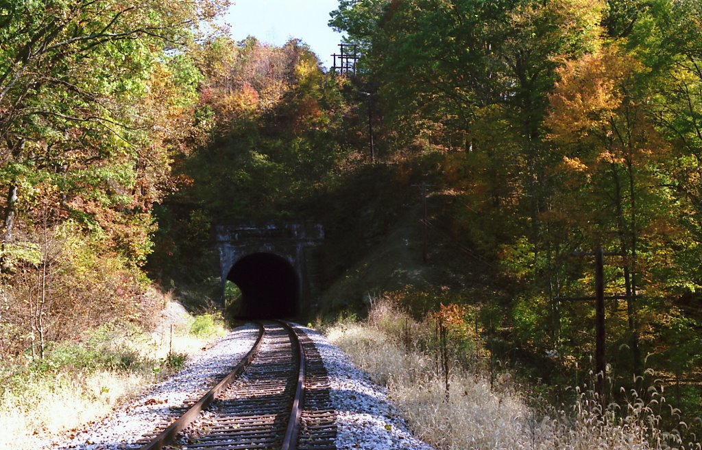 Moonville Tunnel, Залески