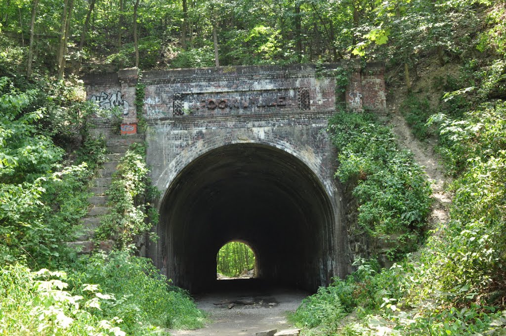 Moonville Tunnel, Залески