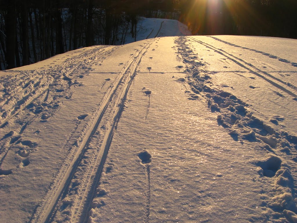 XC ski tracks, cross country skiing, Village of Indian Hill, Ohio, Индиан Хилл