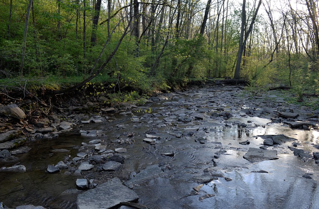 Threatened water quality, red bird hollow, Nature Conservancy, Village of Indian Hill, Ohio, Индиан Хилл