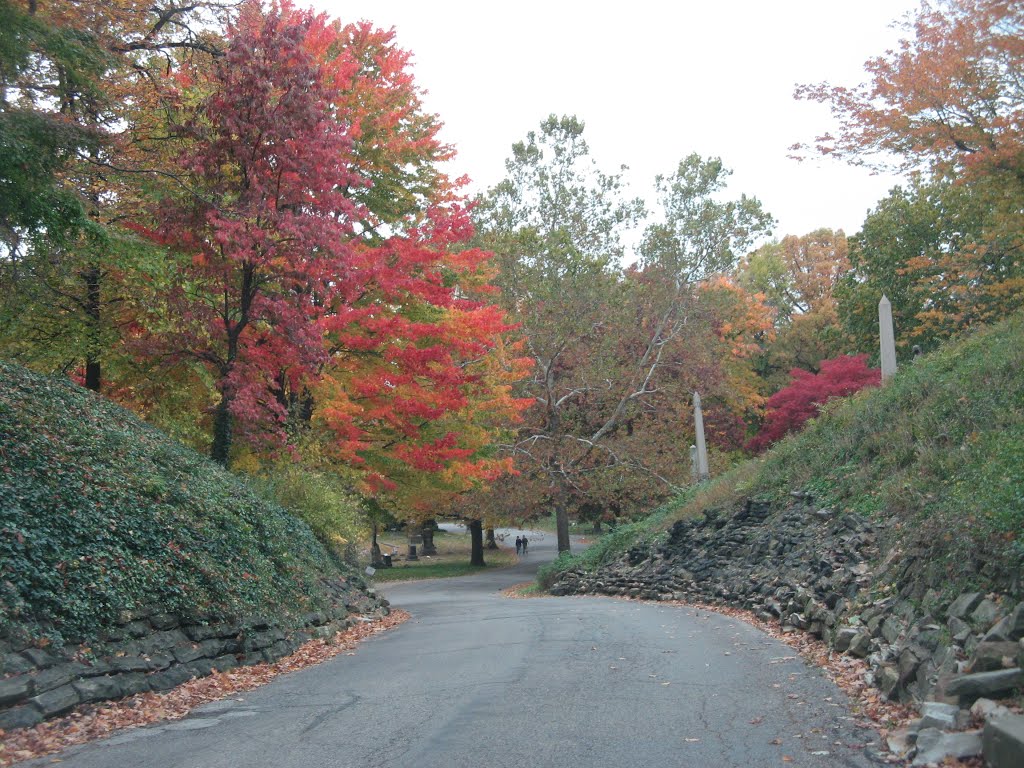downhilll lane, Lakeview Cemetery, Cleveland, Ист-Кливленд