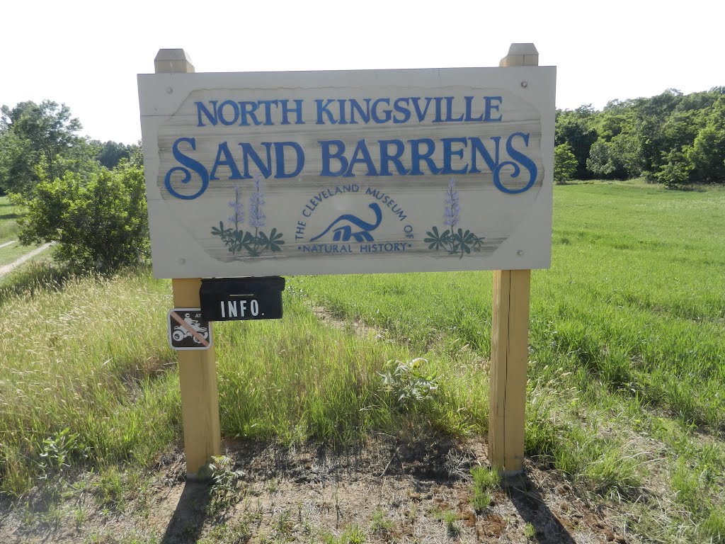 North Kingsville Sand Barrens, Кингсвилл