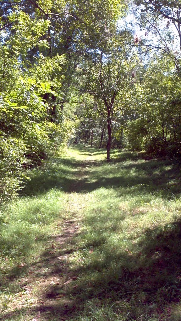 single trail around small pond, Ланкастер