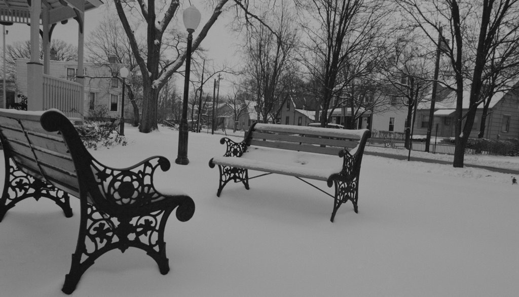 Snowy Park, Линколн-Хейгтс