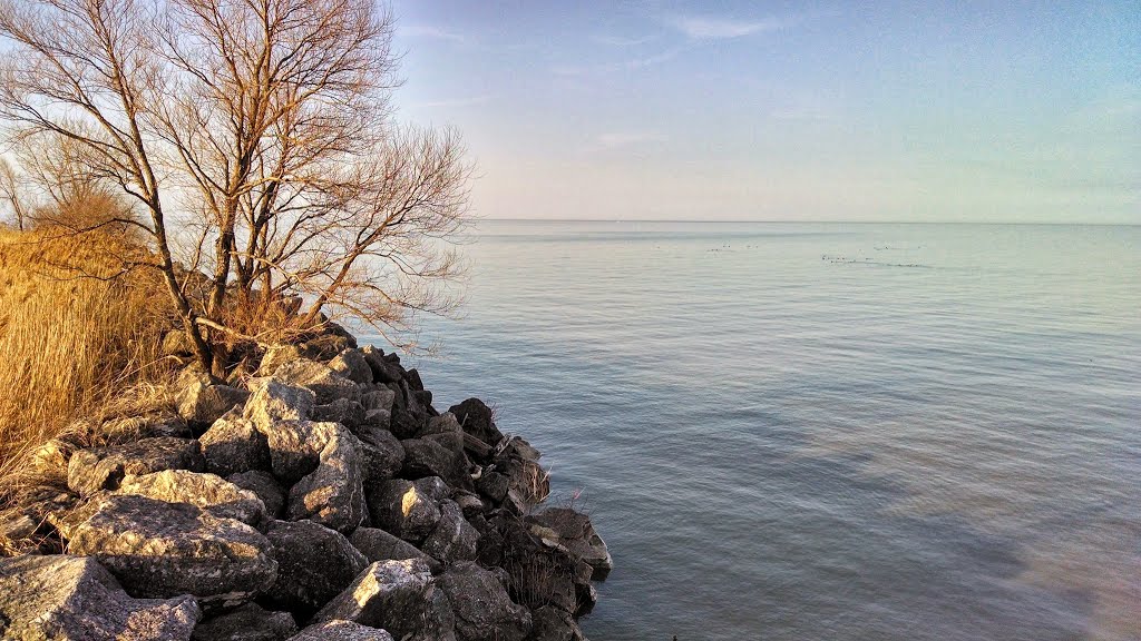 Lake Erie from Lakeside Landing, Лорейн