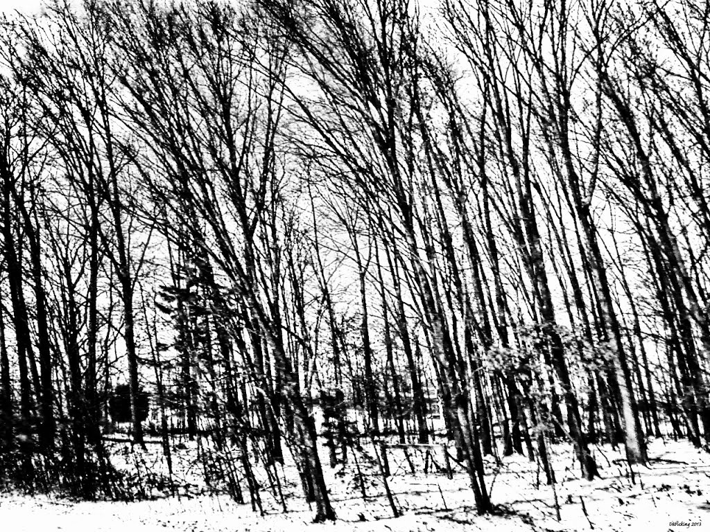 Morrow County Winter 2013, Майерс-Лейк
