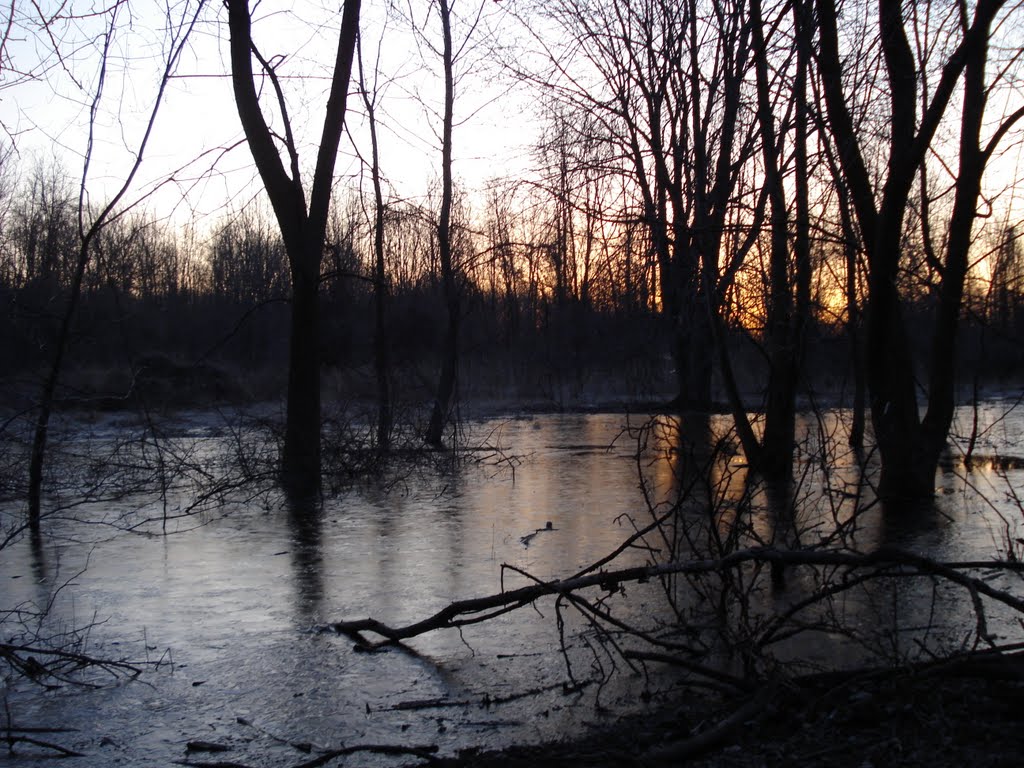 Frozen swamp - Chagrin River Park, Ментор