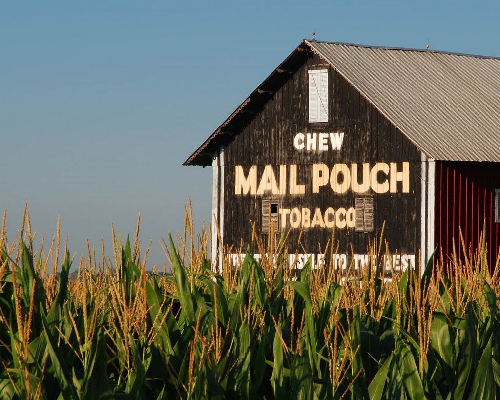 Mail Pouch Barn and Corn, Мэдисон