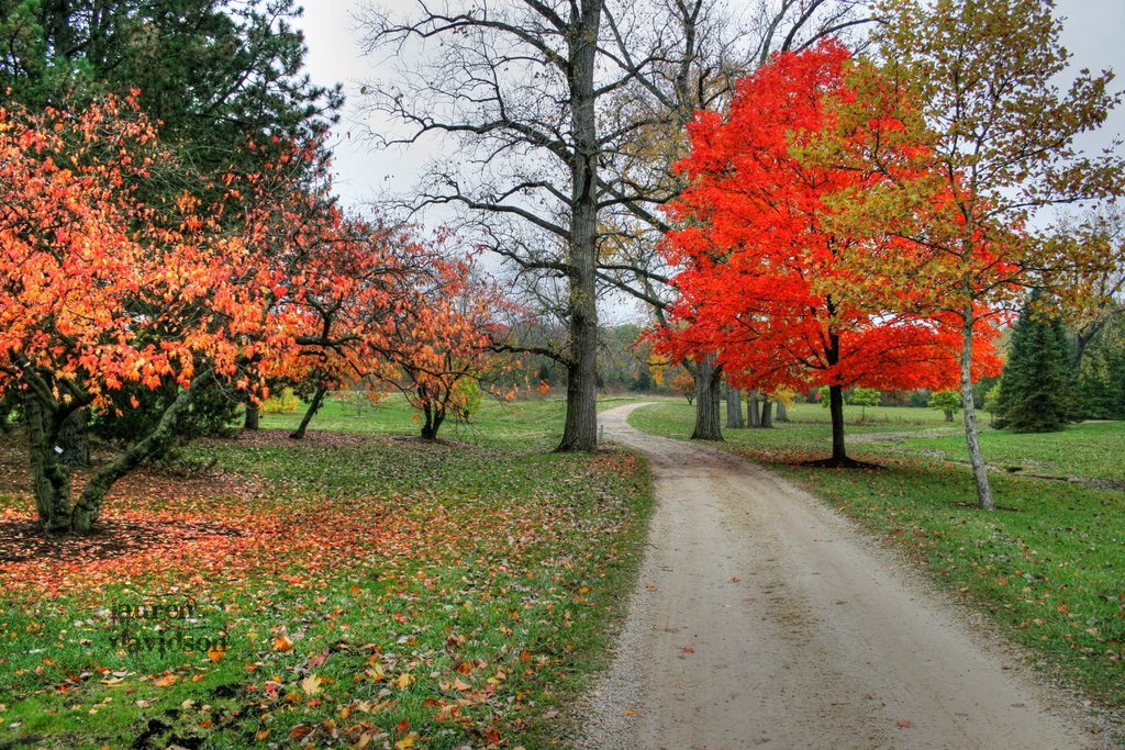 Cox Arboretum, Норт-Рендалл