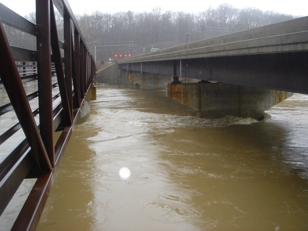 Flood at the Bridges, Ньютаун