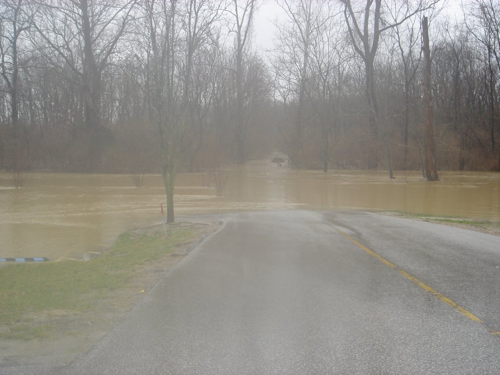 Driveway in Flood, Ньютаун