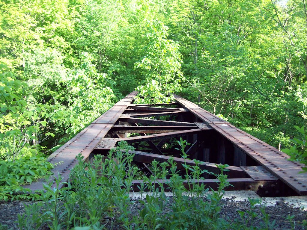 Abandoned B&O Railroad Bridge top, Оверлук