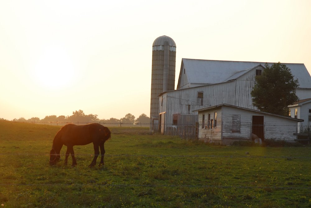 Amish barn, Оверлук