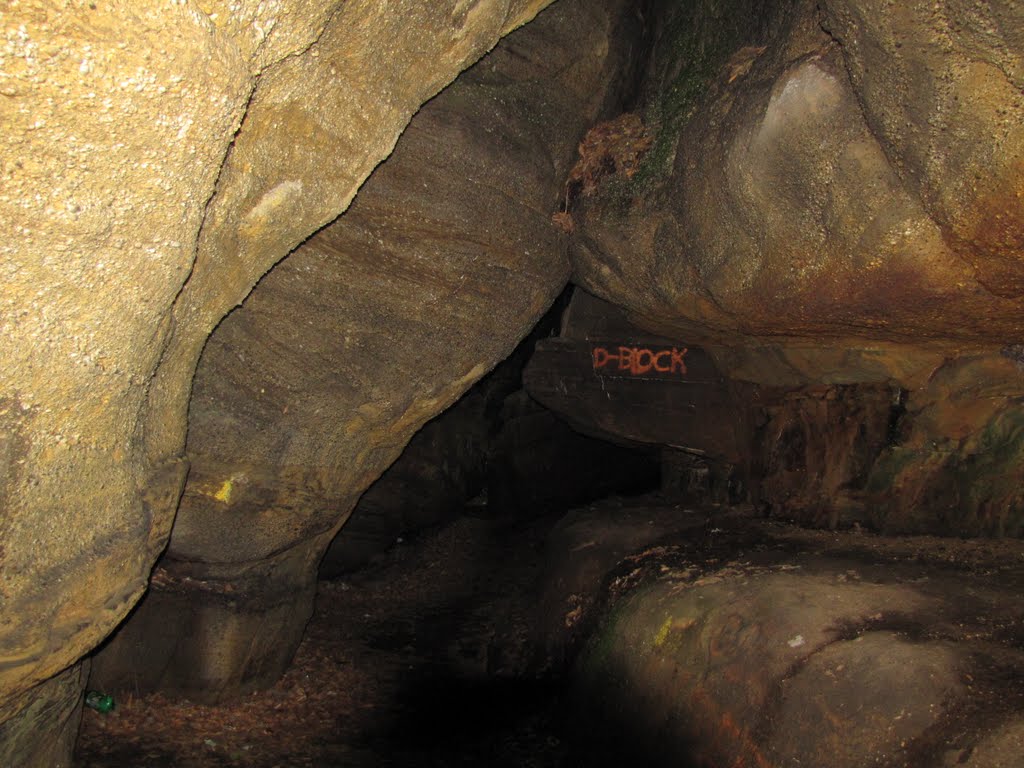 Nelson & Kennedy Ledges Cave, Оверлук