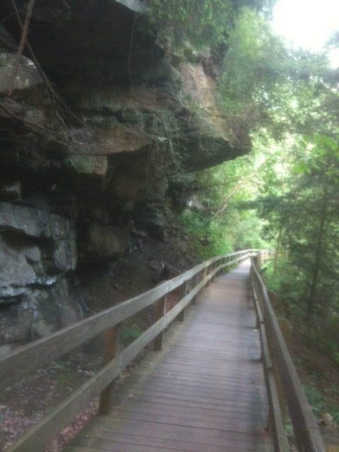 Trails in Mill Creek Park, Остинтаун