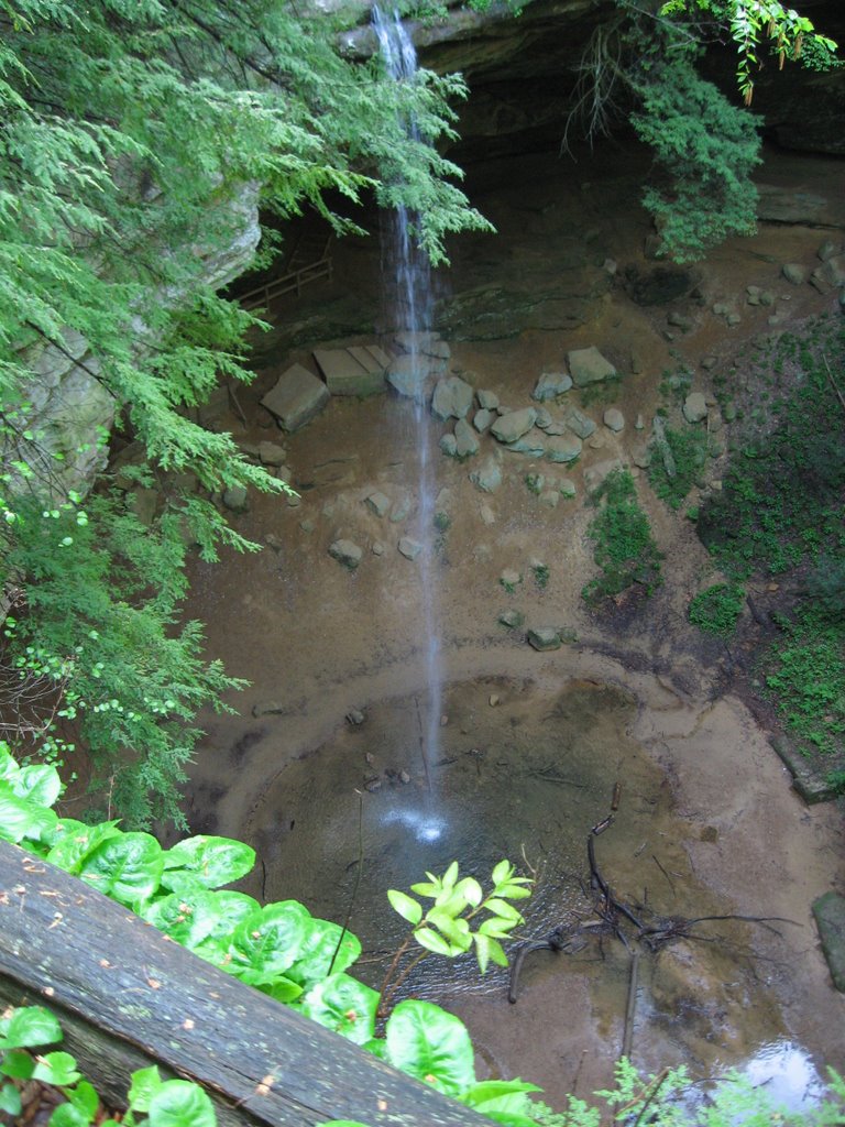 Ash Cave Falls from Top, Рарден