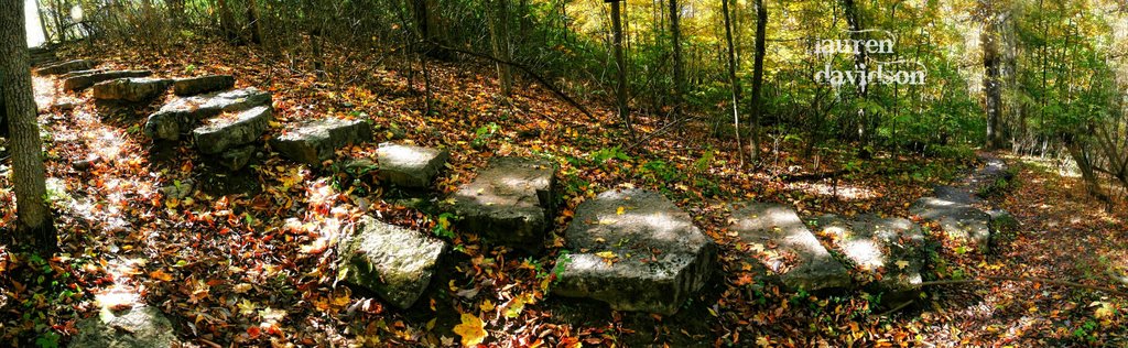 Stone Stairs in the Woods, Рарден