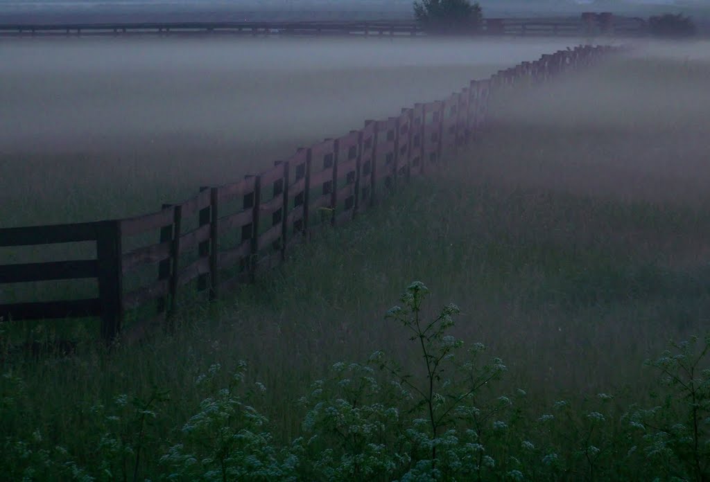 Early Morning Fog, Рарден