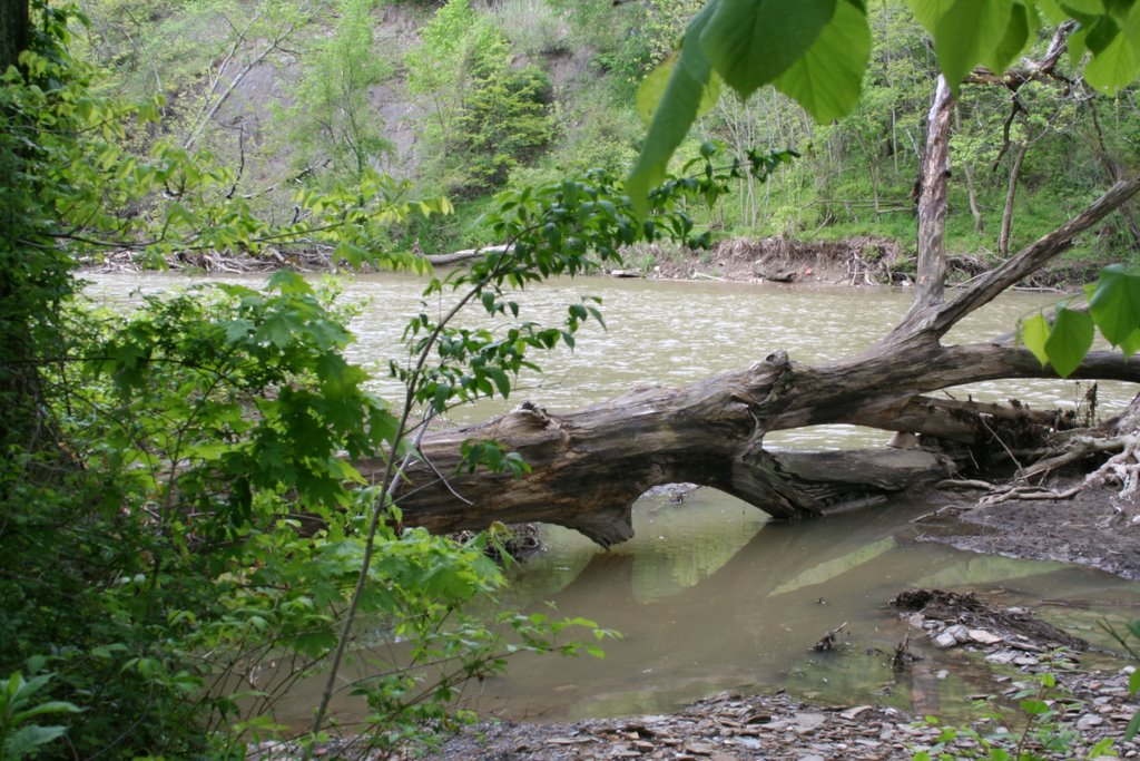 Muddy River, Роки-Ривер