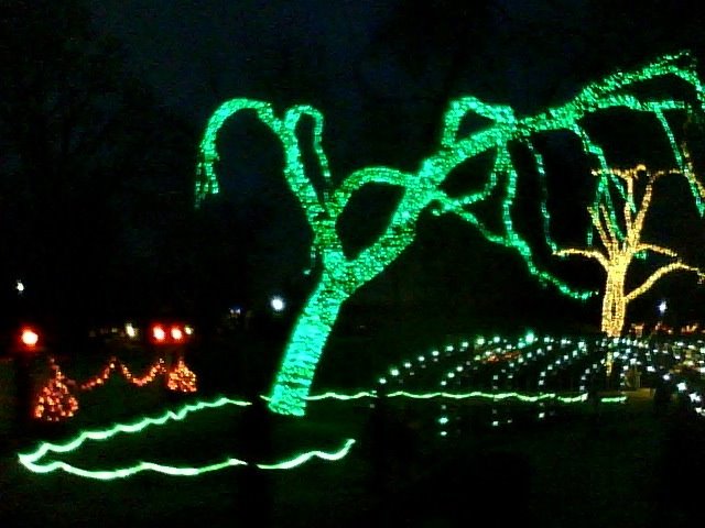 Toledo Zoo - Lights Before Christmas, Россфорд
